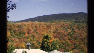 1971: the view of the forest upon the mountain scale blowing in the wind of