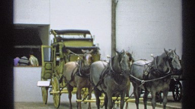 1971: group of horses tied to a carriage, not moving NEW YORK