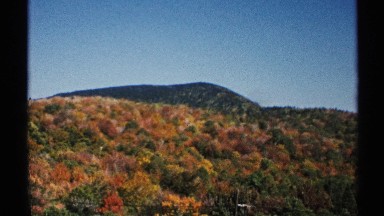 1971: Rolling Hills Bursting with Native Foliage Transition into Creek Reflections