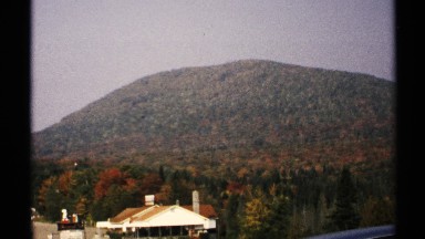 1971: two people stand on front a home in the forest of pines. NEW YORK