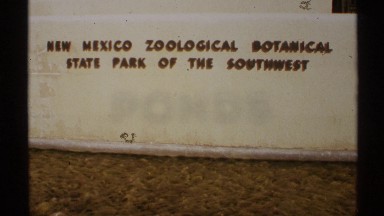 1972: wall says: new mexico zoological botanical state park of the southwest NEW