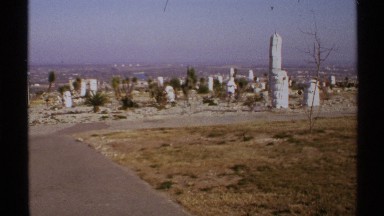 1972: white coverings are secured with metal bands around garden objects NEW