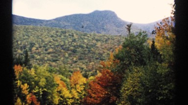 1971: forest filled with autumn colored leaves covers a mountain range NEW