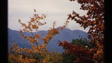 1971: Tree Blowing with Mountains in the Background, NEW HAMPSHIRE