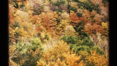 1971: multi-colored autumn trees in the fall VERMONT