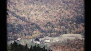 1971: a long sight view of forest and it's full of green field that contains