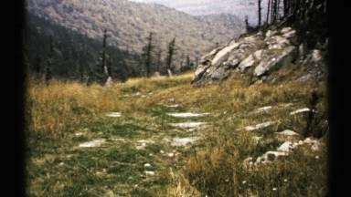 1971: a sunny day with big green mountain, mountain side tracking road with