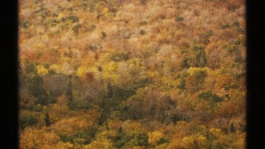 1971: panoramic view of trees in fall VERMONT