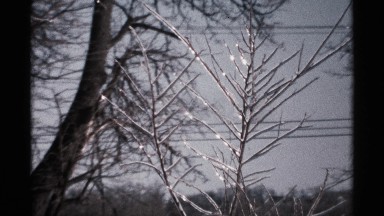 1971: snow and ice covered tree branches set in front of powerlines in the