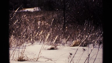 1971: snowy hillside with dry grains growing WISCONSIN