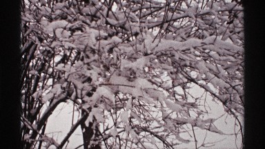 1971: Tree in the Ice Mountain and the Tree Covered with Full of Snow WISCONSIN