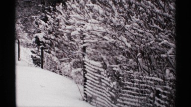 1971: trees are placed corner at the snow place and it looks cool climate and