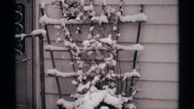 1971: snow-covered plants and garden fixtures WISCONSIN