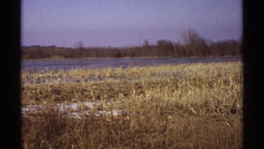 1971: dry grass in the thicket laying in front of a flowing watery lake.
