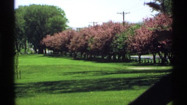 1970: open field with beautiful landscape on a sunny day MINNESOTA