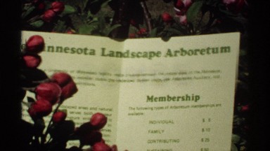 1970: a slip that has a content and a garden with flower plants next to the slip