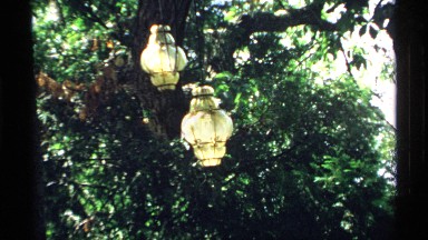 1970: lanterns hang at different heights in front of tree trunk MINNESOTA