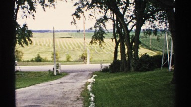 1970: a car driving past a cornfield MINNESOTA