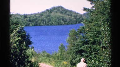 1972: water full of nature and it looks like a forest and a path also contain to