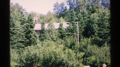 1972: one house is present among the dense forest,one man is walking,variety of