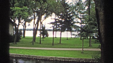 1971: the peaceful nature place with full of grass and plants it looks green