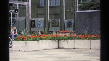 1972: an orange blossoms at street ISLE ROYALE MICHIGAN
