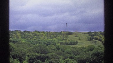 1972: Daytime Big Green Forest with Green Trees and Blue Sky North Dakota