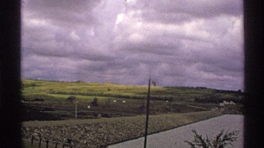 1972: a garden with full of grass,trees and plants and the sky with clouds