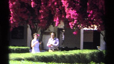 1975: man and woman have magenta blossoms from flowering hanging branches