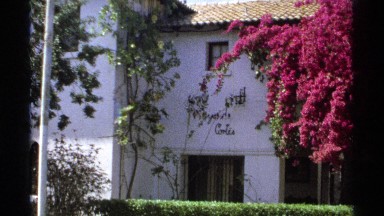 1975: a mediterranean style white home with a big pink flower filled tree