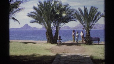 1975: two men and woman walk along sandy shore behind spreading palm trees