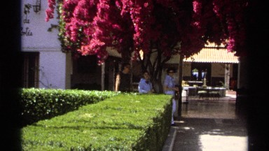 1975: flowers and cute garden people are walking at the garden to relax their
