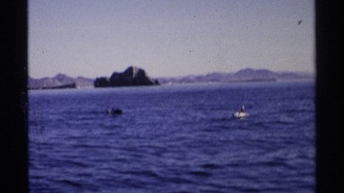 1975: Birds Swimming on Sea with Mountains and White Ship in Guaymas Mexico