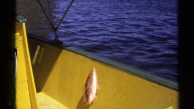 1975: man fishing on a yellow boat GUAYMAS MEXICO
