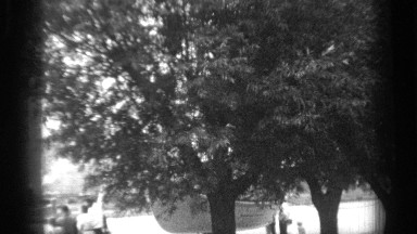 1938: view of weather making vegetation blow and a few people watching CLEVELAND