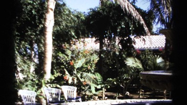 1974: garden fountain centers palm trees, bedding plants and roofed patio CABO