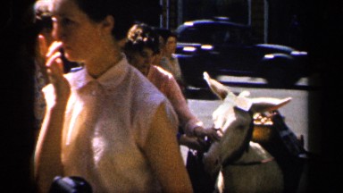 1957: women around petting a white donkey in the street of a city. FRANCE
