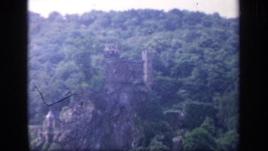 1957: Full of Trees and Plants in Morning Light in Ireland