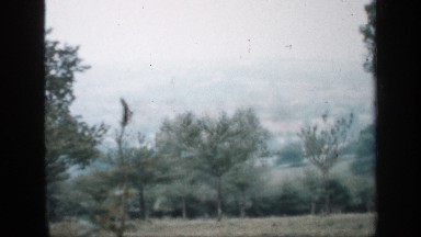 1957: a panoramic hillside view of high desert trees and dry underbrush on a
