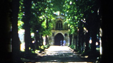 1957: a garden with full of long trees and plants and a couple walking on the