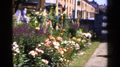 1957: a garden with full of flowers at the both side of a path and it looks