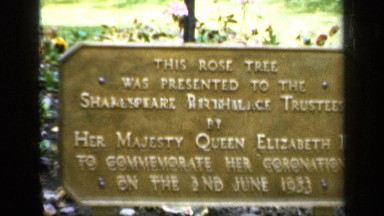 1957: rose tree at shakespeare birthplace by queen elizabeth to commemorate her