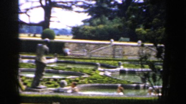 1957: a beautiful nature with trees and plants and a dam of water looks cute