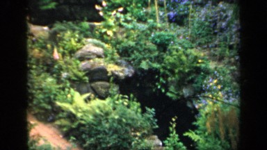 1957: rock garden with flowers and bushes in the summertime ENGLAND