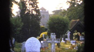 1957: a cemetery place and more corpse there some plants and flowers also at the
