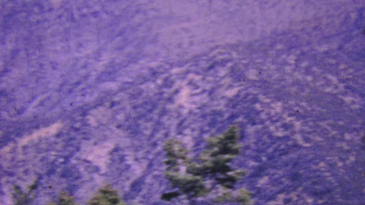 1964 Palm Springs aerial tramway footage looking across a hazy, purple-blue mountain slope with soft evergreen branches entering the lower frame.
