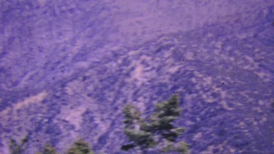 1964 Palm Springs aerial tramway footage looking across a hazy, purple-blue mountain slope with soft evergreen branches entering the lower frame.