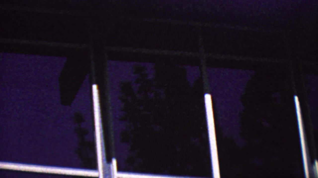 White-framed window panes under a dark overhang with tree silhouettes behind the glass.