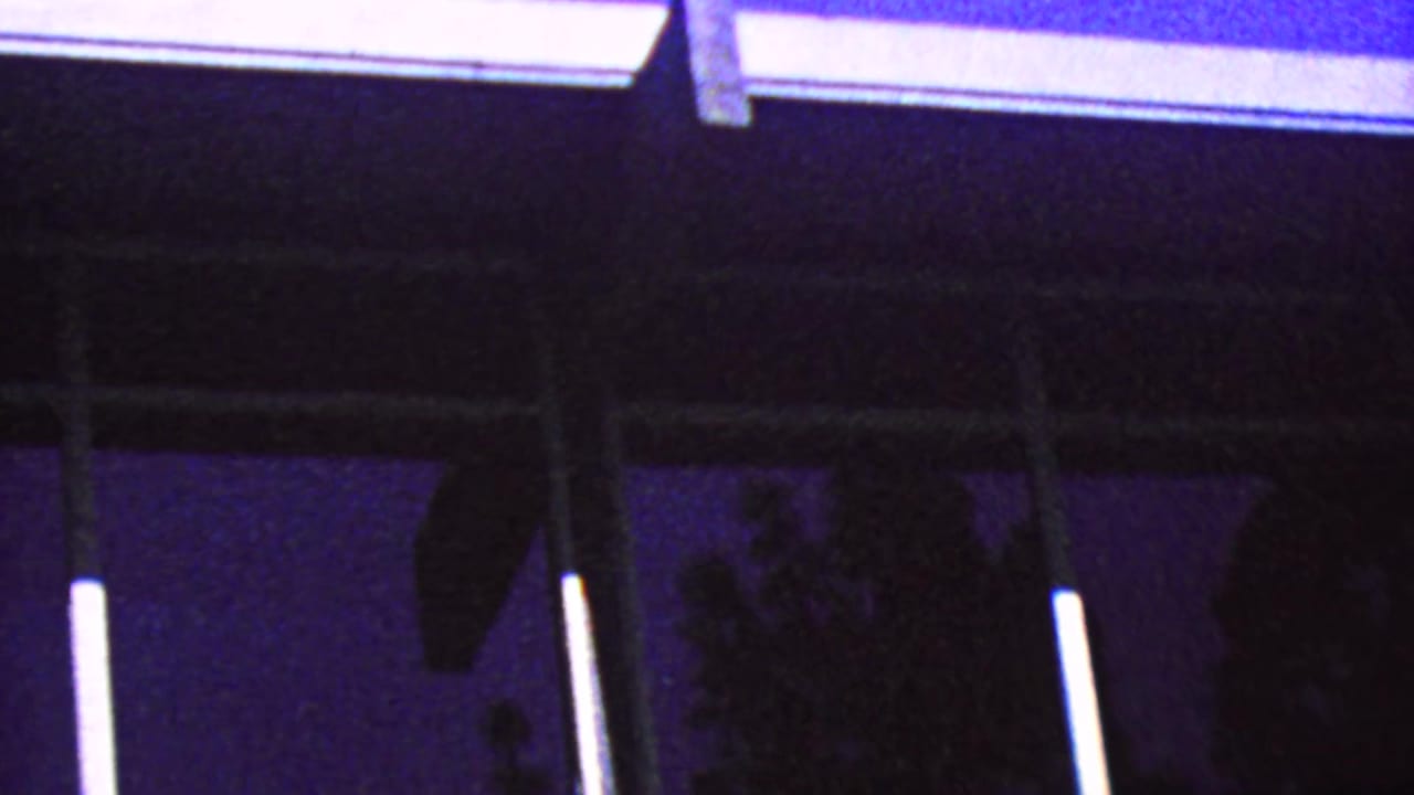 1964 Palm Springs 8mm frame with white vertical window framing, reflected light, and dark tree silhouettes seen through glass.