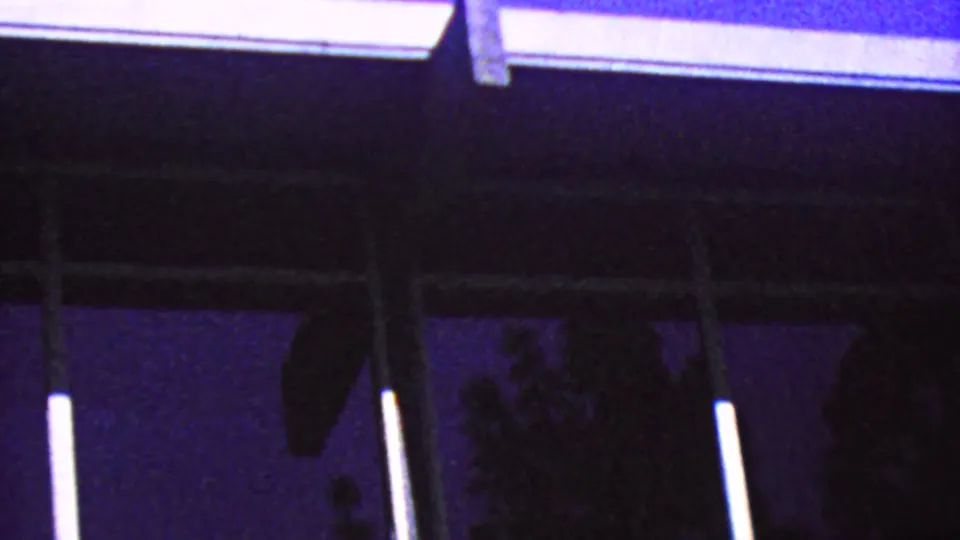 1964 Palm Springs 8mm frame with white vertical window framing, reflected light, and dark tree silhouettes seen through glass.